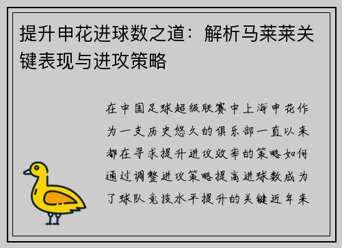 提升申花进球数之道：解析马莱莱关键表现与进攻策略