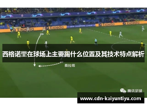 西格诺里在球场上主要踢什么位置及其技术特点解析