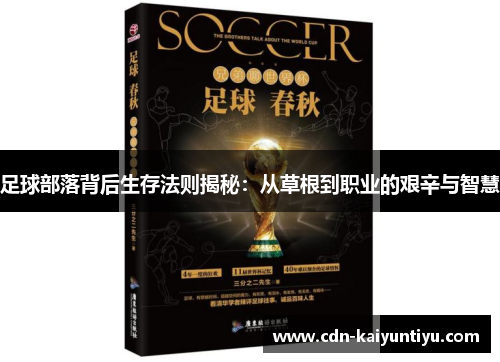 足球部落背后生存法则揭秘：从草根到职业的艰辛与智慧