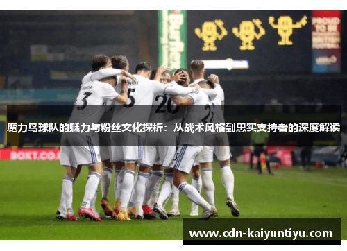魔力鸟球队的魅力与粉丝文化探析：从战术风格到忠实支持者的深度解读