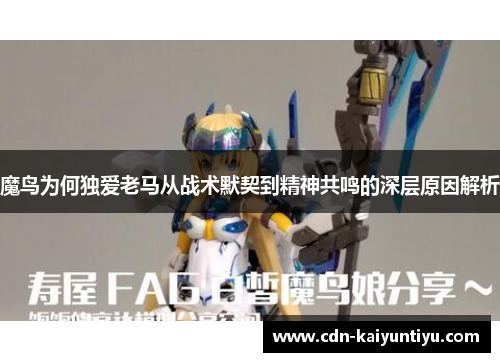 魔鸟为何独爱老马从战术默契到精神共鸣的深层原因解析