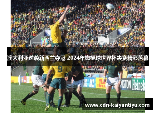 澳大利亚逆袭新西兰夺冠 2024年橄榄球世界杯决赛精彩落幕 澳大利亚逆袭新西兰夺冠 2024年橄榄球世界杯决赛精彩落幕