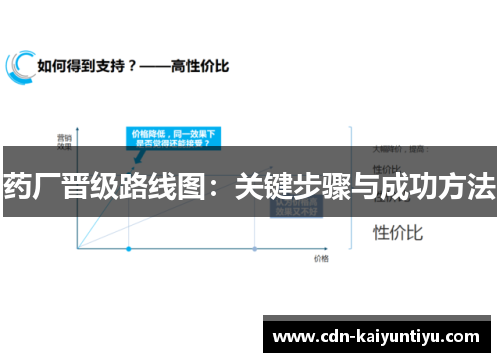 药厂晋级路线图：关键步骤与成功方法