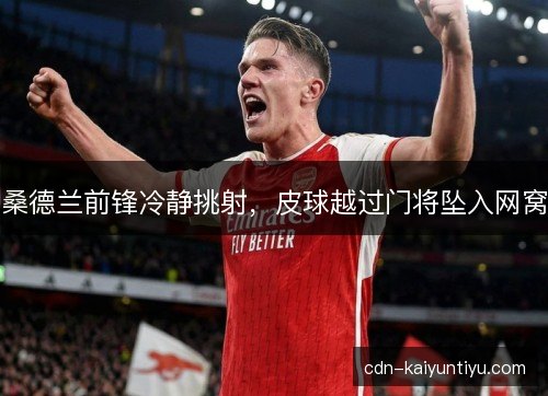 桑德兰前锋冷静挑射，皮球越过门将坠入网窝
